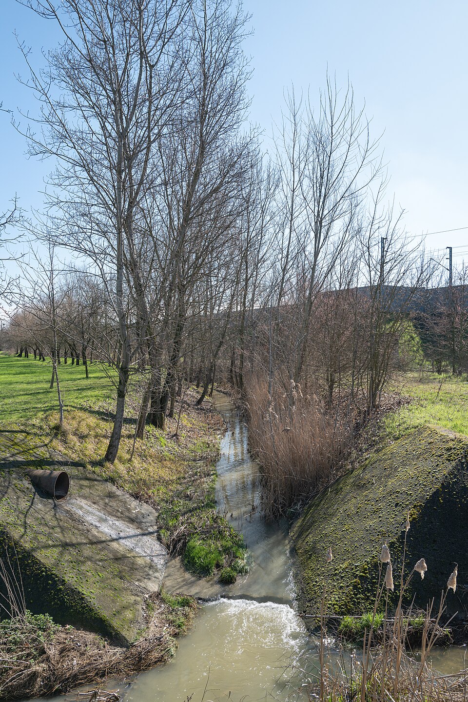 La pianura reggiana presso Mancasale. Foto di contesto, non del Laghetto della Fornace o dell'intero anello.
